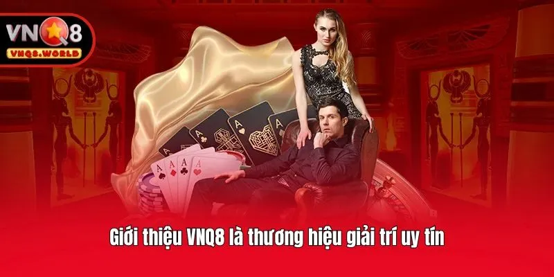 Giới thiệu VNQ8 là thương hiệu giải trí uy tín