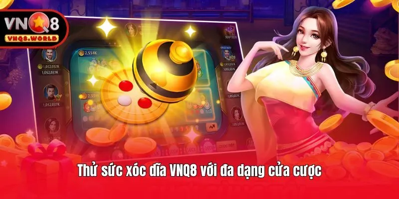Thử sức xóc dĩa VNQ8 với đa dạng cửa cược